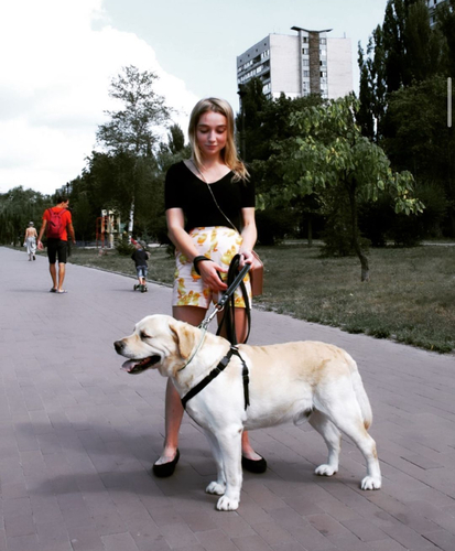 Vlada